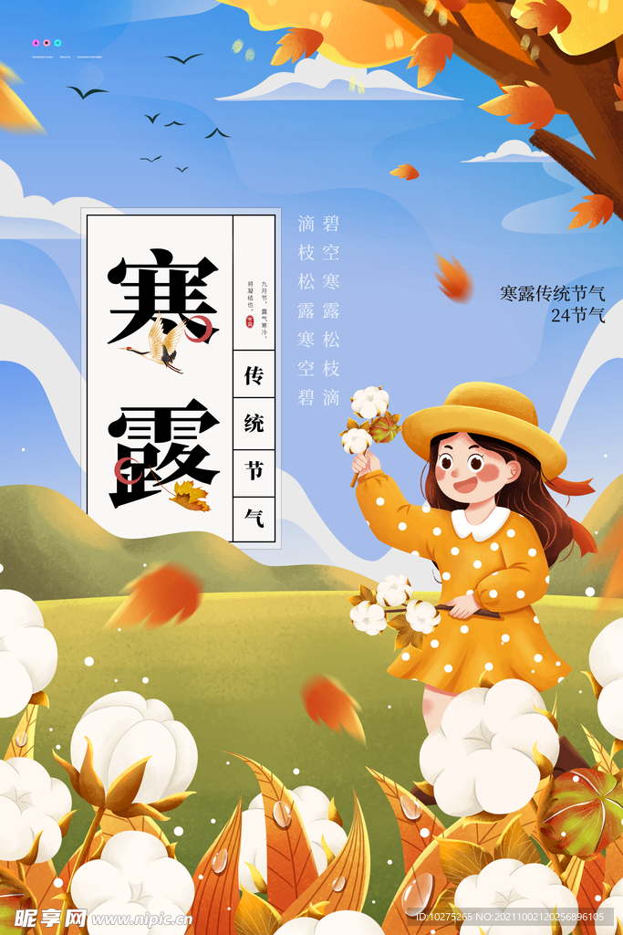 插画风寒露节气海报