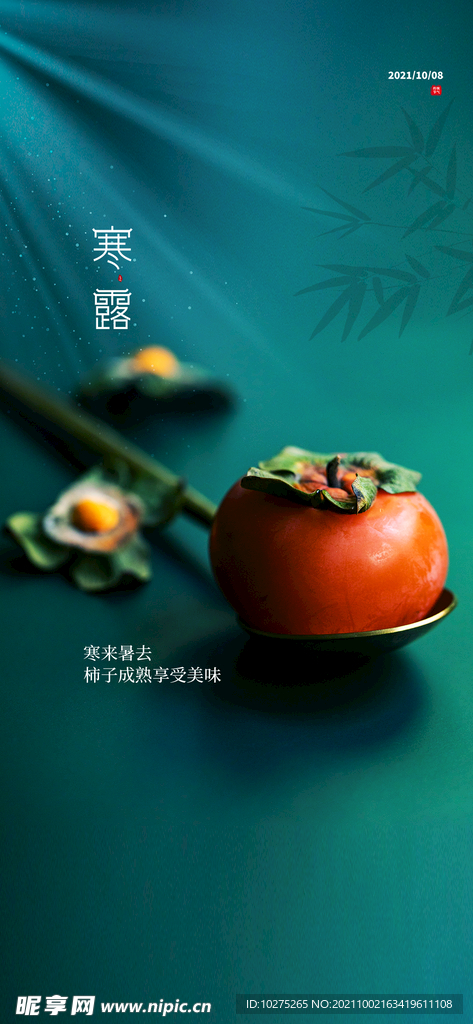 寒露二十四节气海报