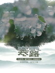 简约中国风传统二十四节气寒露