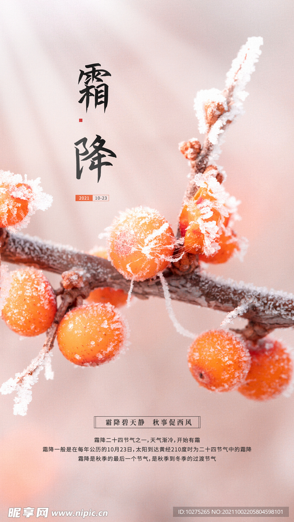 中国传统二十四节气霜降海报