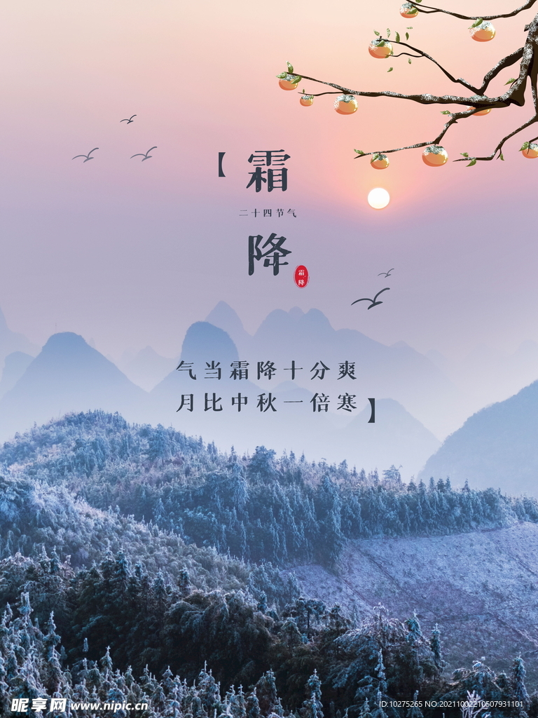 霜降高端海报霜雪摄影海报