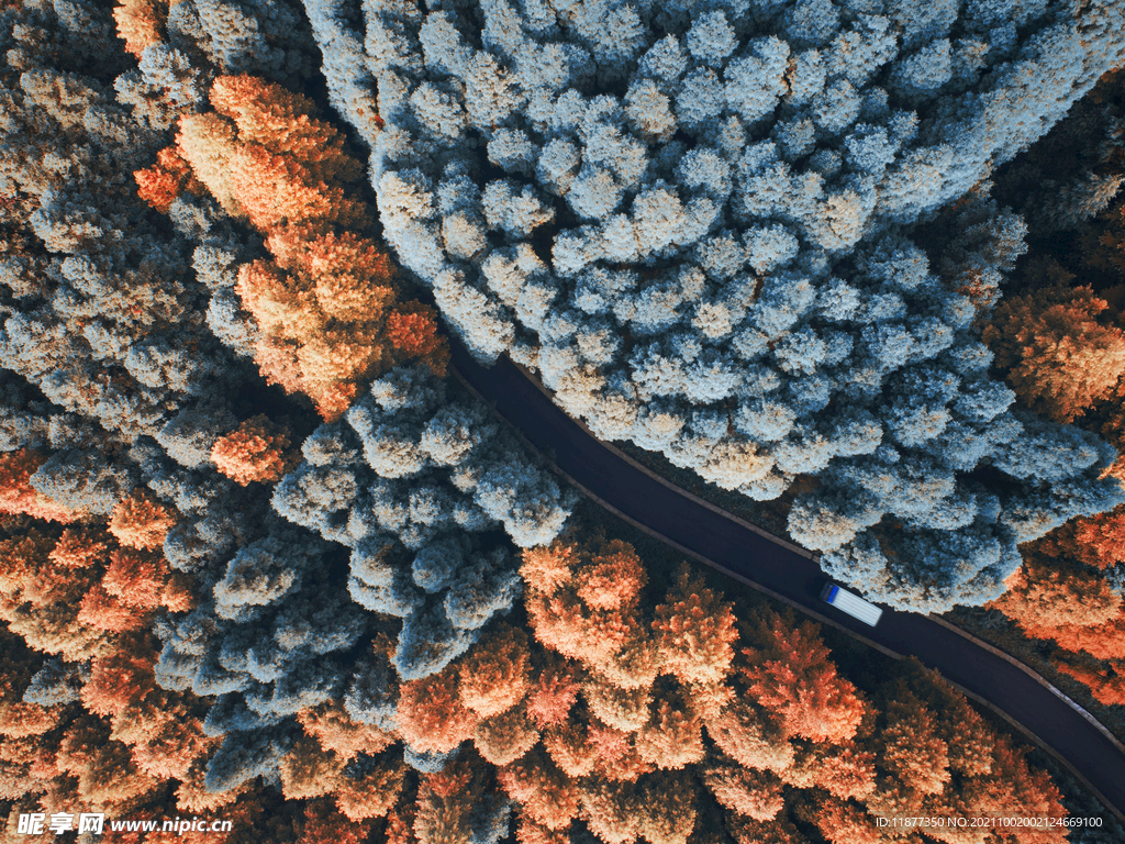 风景