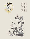 菊花背景
