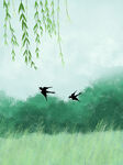  谷雨背景