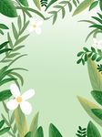  植物叶子 