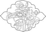 莲花