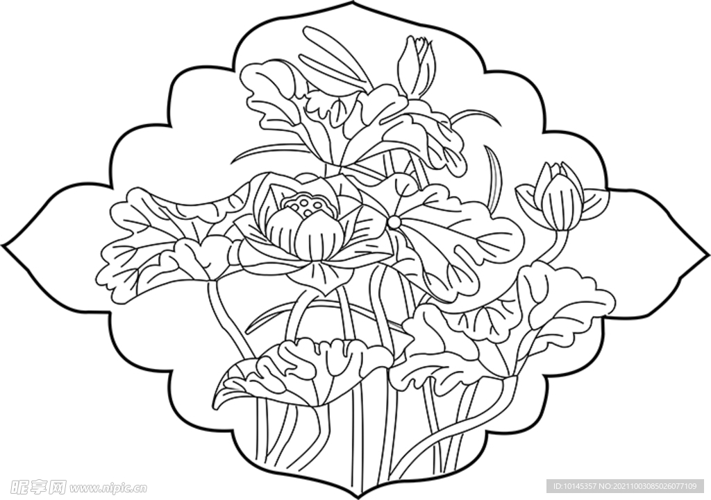 莲花