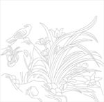 兰花