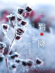 霜降传统二十四节气简约大气宣传