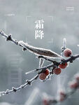 二十四节气霜降简约宣传广告海报