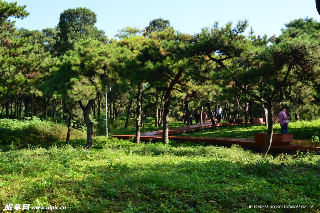 龙潭中湖风景