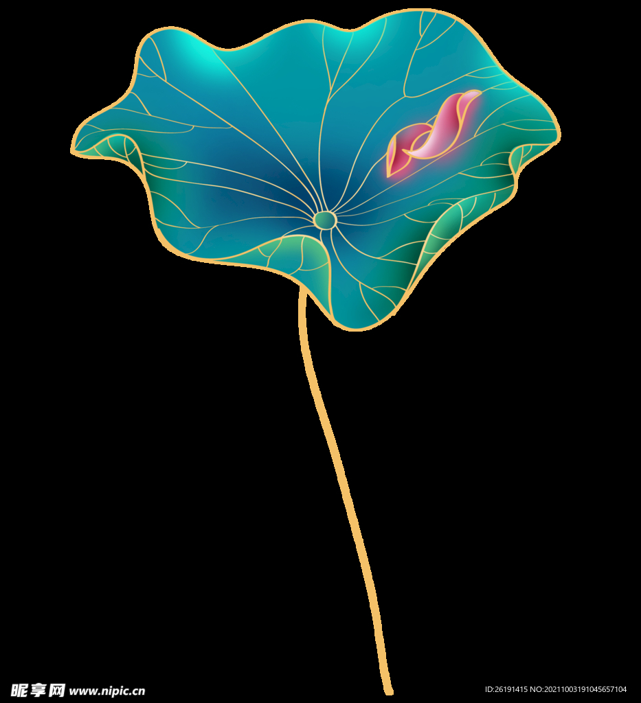 荷花