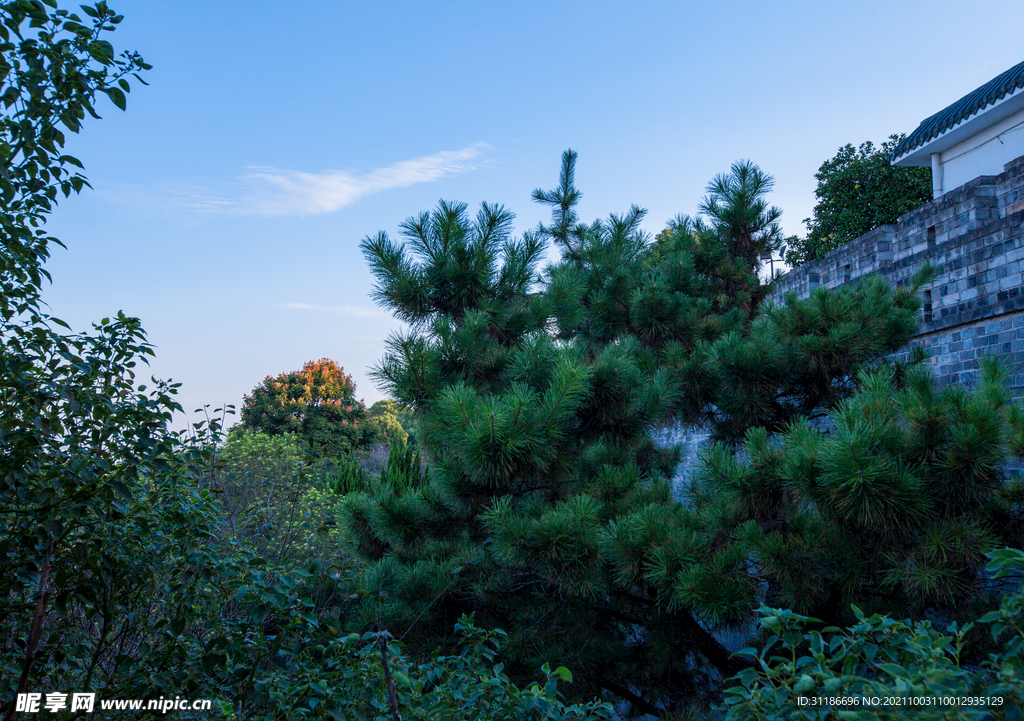 岳阳楼景区