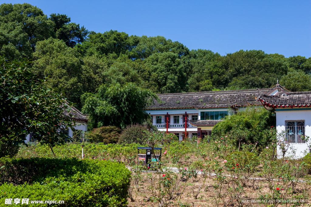 岳阳君山岛景区