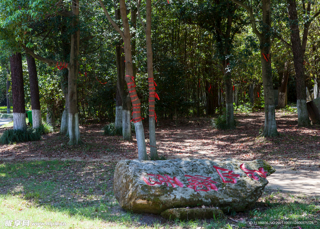 岳阳君山岛景区 碑廊