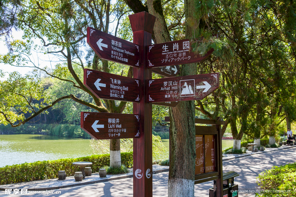 岳阳君山岛景区