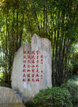 岳阳君山岛景区