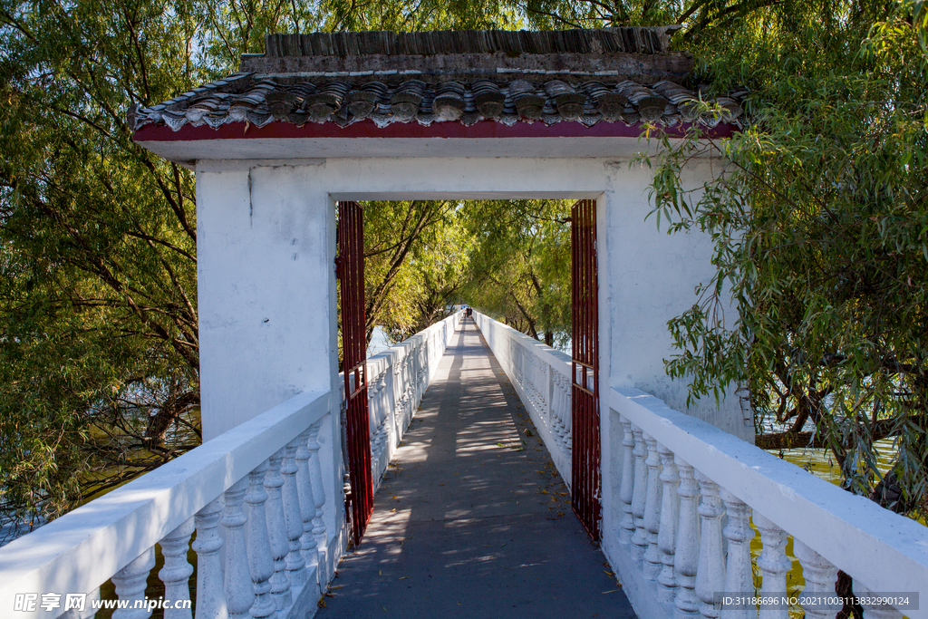 岳阳君山岛景区 汛期游船进出