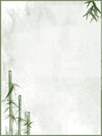  竹子背景