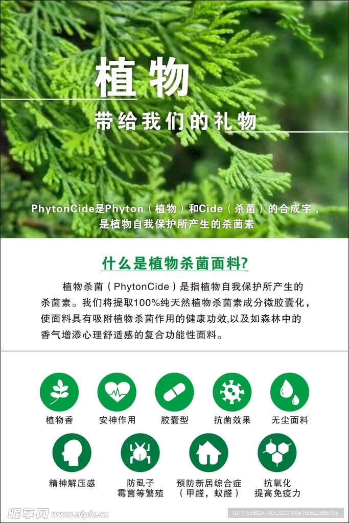植物产品