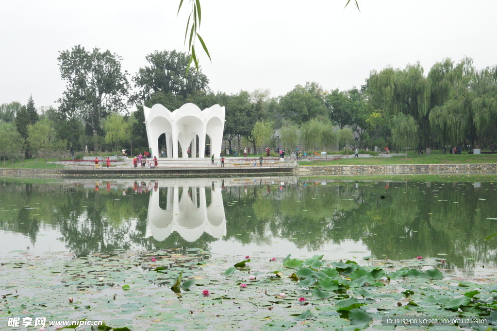龙潭中湖风景