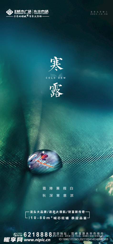 地产寒露海报