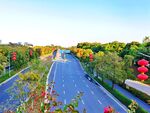 城市高速公路