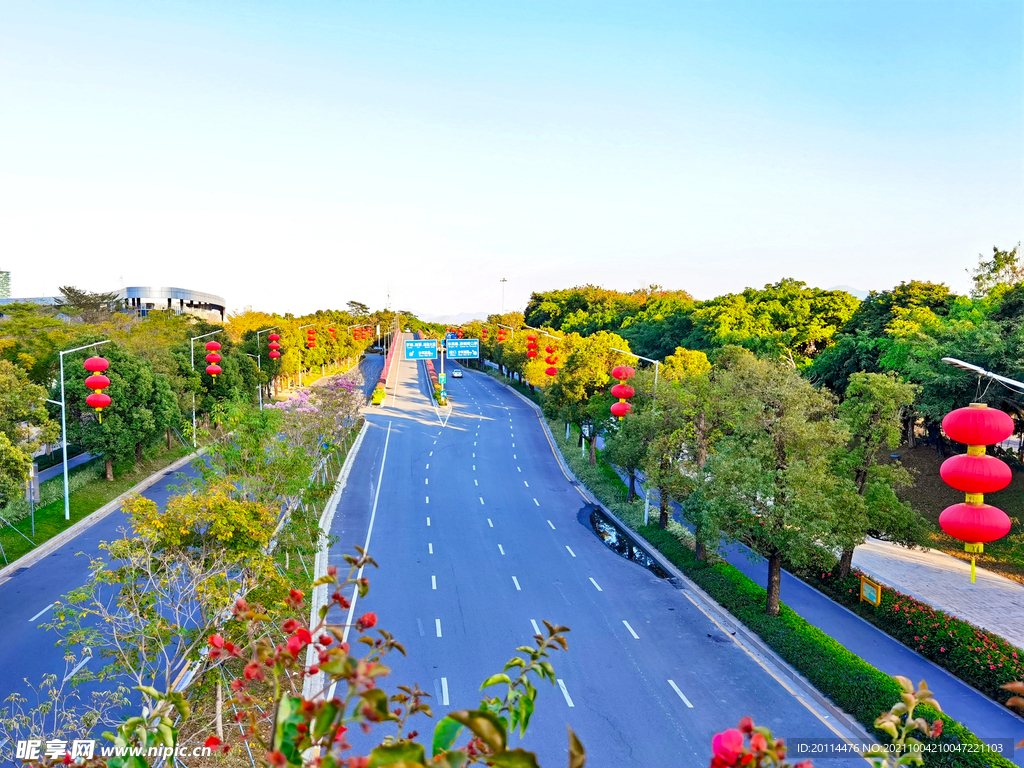 城市高速公路街道