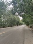 公路