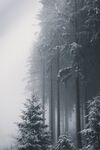 雪景