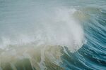海