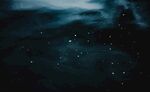 海