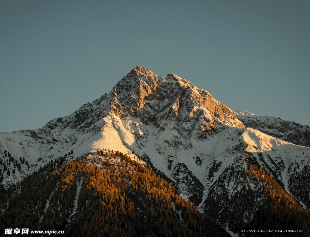 山