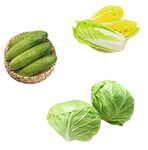 新鲜绿色蔬菜
