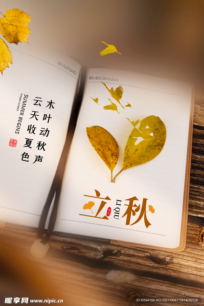 立秋