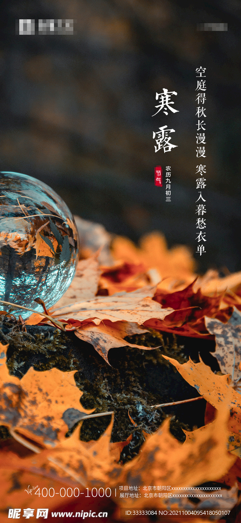 中国节气寒露