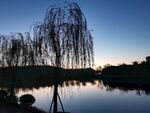 湖畔夜色