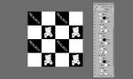 黑白棋盘格卡通小熊时尚英文