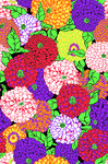 球花