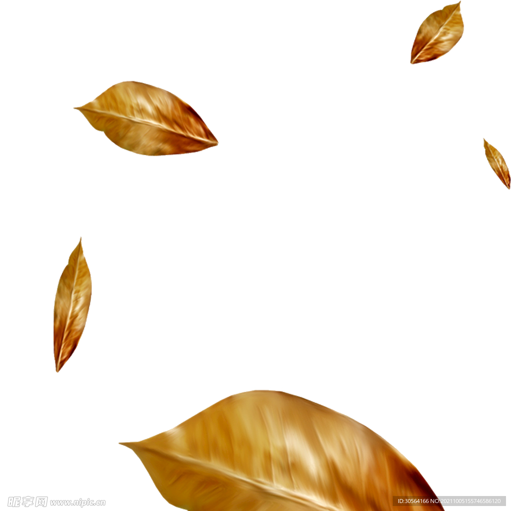 金色飞舞的树叶