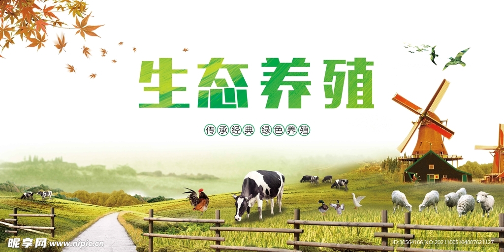 生态养殖