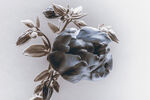 数码印花水彩花抽象花卉水彩花