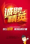 诚聘精英