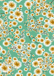 矢量菊花