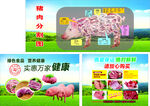 猪肉分割海报