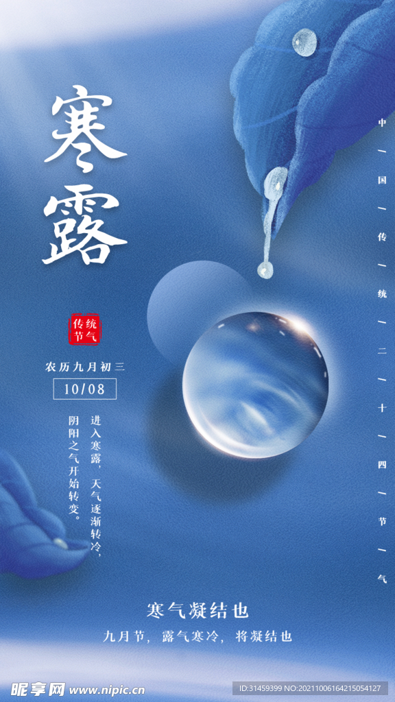 大气寒露节气海报