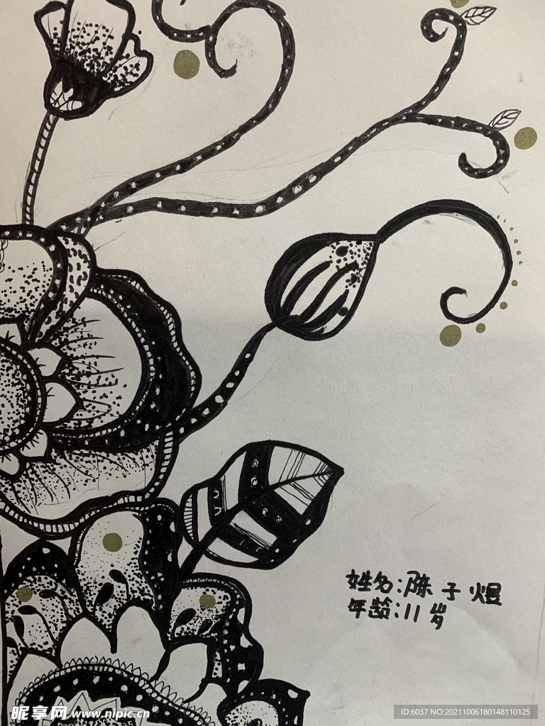 神奇植物