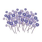 矢量花朵素材  
