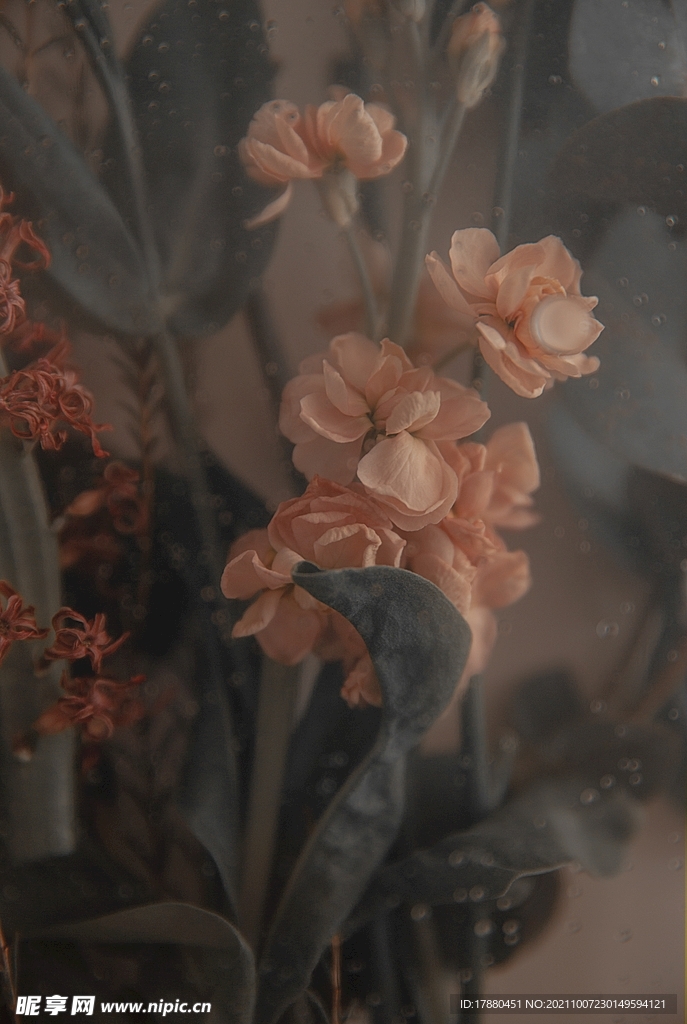 花卉