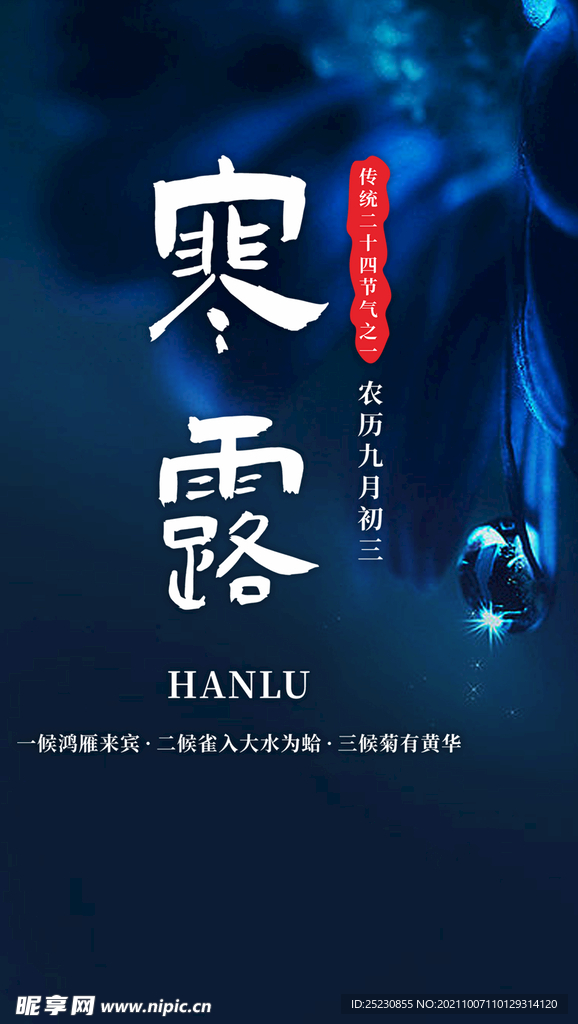 寒露海报